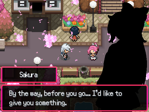 Pokémon Unbreakable Ties screenshot 5